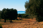 Alberese vista panoramica dal percorso per San Rabano Montecristo